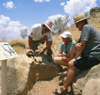 Riversleigh Fossil Fields - Restaurant Gold Coast