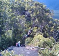 Mia Mia State Forest - Restaurant Gold Coast