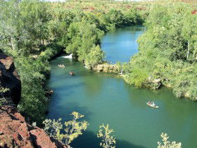Wild Dog Dreaming, Boodjamulla (Lawn Hill) National Park - Restaurant Gold Coast 0
