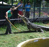 Snakes Downunder Reptile Park and Zoo - Restaurant Gold Coast