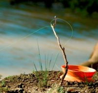 Charleville - Mangalore Warrego River Fishing Spot - Restaurant Gold Coast