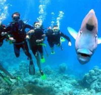 Gotham City Dive Site - Restaurant Gold Coast