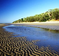 Burrum Coast National Park - Restaurant Gold Coast