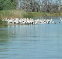 Lake Ross - Restaurant Gold Coast