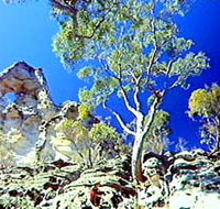 Mount Moffatt Section - Carnarvon National Park - Restaurant Gold Coast