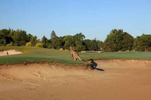 Pelican Waters Golf Club - Restaurant Gold Coast 6