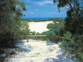 Lake Wabby Track - Restaurant Gold Coast 0