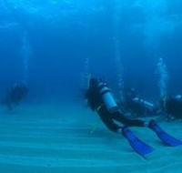 Child Island Dive Site - Restaurant Gold Coast