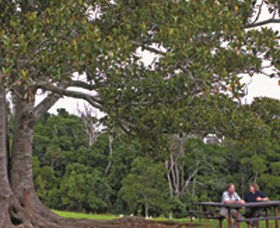 Palmtree QLD Restaurant Gold Coast