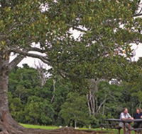 Ravensbourne National Park - Restaurant Gold Coast