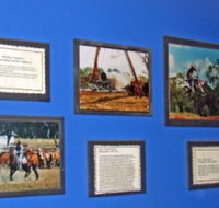 Town Hall Photographic Display - Restaurant Gold Coast