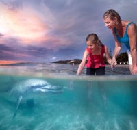 Tangalooma Island Resort - Restaurant Gold Coast