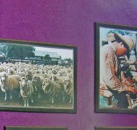 Charleville Photographic Display - Restaurant Gold Coast