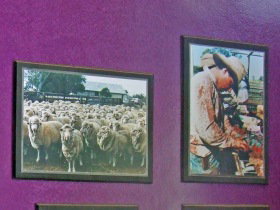 Charleville Photographic Display - Restaurant Gold Coast 0