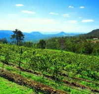 Preston Peak Wines - Restaurant Gold Coast