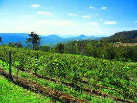Preston Peak Wines - Restaurant Gold Coast 0