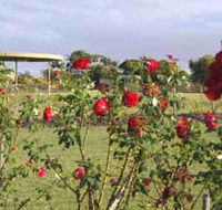 Elizabeth Park Rose Gardens - Restaurant Gold Coast