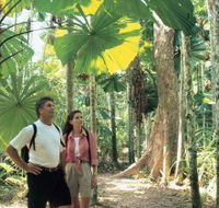 Licuala State Forest - Restaurant Gold Coast