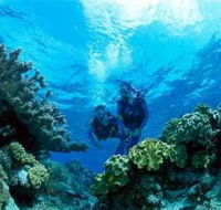 Coral Gardens Dive Site - Restaurant Gold Coast