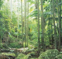 Python Rock - Restaurant Gold Coast