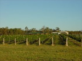 Kingsley Grove Estate - Restaurant Gold Coast 0