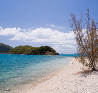 Paddle Bay Track and Campsite - Restaurant Gold Coast