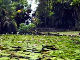 Queens Park Waterfall - Restaurant Gold Coast 0