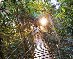 Tree Top Walkway - Restaurant Gold Coast 0
