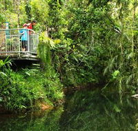 Djiru National Park - Restaurant Gold Coast