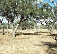 Forest Den National Park - Restaurant Gold Coast