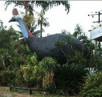 The Big Cassowary - Restaurant Gold Coast