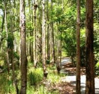 Hallorans Hill - Restaurant Gold Coast