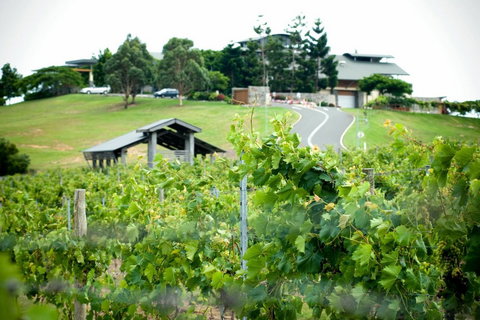 Sirromet Winery - Restaurant Gold Coast 10