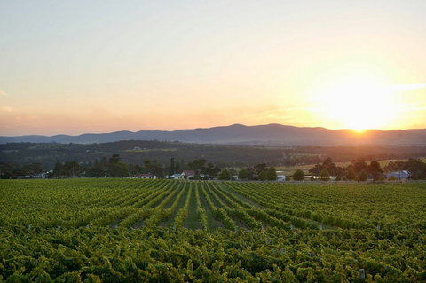 Sirromet Winery - Restaurant Gold Coast 13