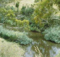 Yarrambat Park - Restaurant Gold Coast
