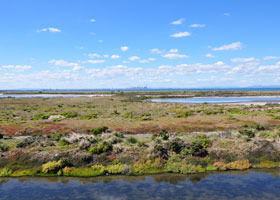 Point Cook Coastal Park - Restaurant Gold Coast 0