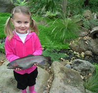 Wild Food Farm  Cafe - Restaurant Gold Coast