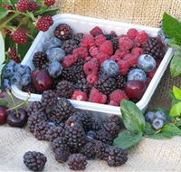 Bright Berry Farms - Restaurant Gold Coast