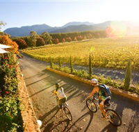 Boyntons Feathertop Winery - Restaurant Gold Coast