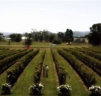 Rochford Wines - Restaurant Gold Coast