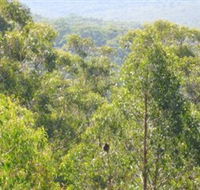 Bunyip State Park - Restaurant Gold Coast