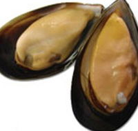 Sea Bounty - Restaurant Gold Coast