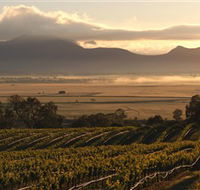 Montara Wines - Restaurant Gold Coast