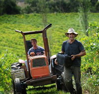 Kellybrook Winery  Kelly Brothers Cider - Restaurant Gold Coast