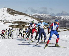 Falls Creek Alpine Resort - Restaurant Gold Coast 0