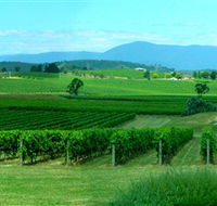 Acacia Ridge Vineyard - Restaurant Gold Coast