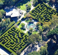 Ashcombe Maze  Lavender Gardens - Restaurant Gold Coast