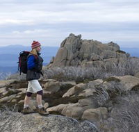 Mount Buffalo National Park - Restaurant Gold Coast