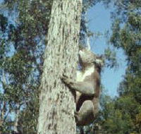 Creswick Regional Park - Restaurant Gold Coast