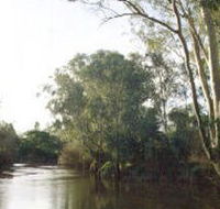 Banksia Park - Restaurant Gold Coast